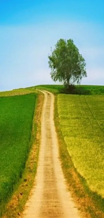 Peaceful countryside path beneath blue sky, ideal for mobile wallpaper.