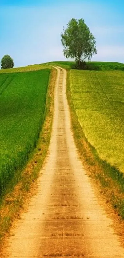 Serene countryside path under a blue sky.