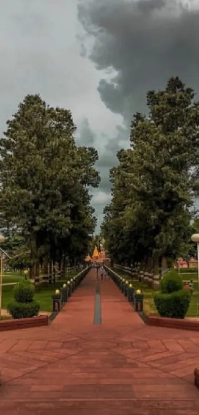 Scenic tree-lined pathway with cloudy sky.