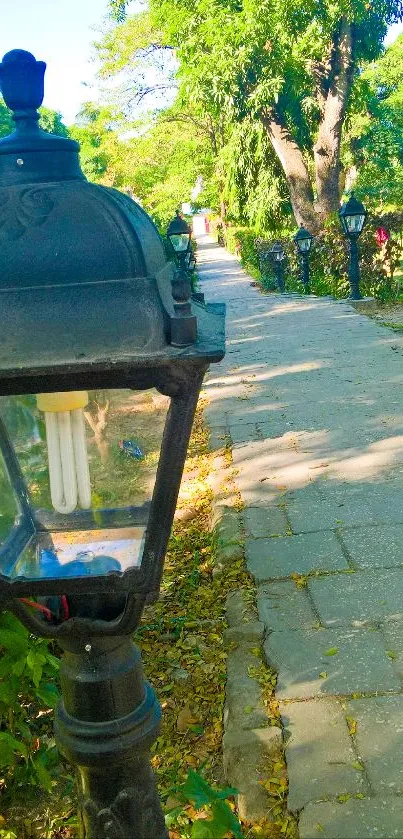 Scenic pathway with vintage lanterns and lush greenery.