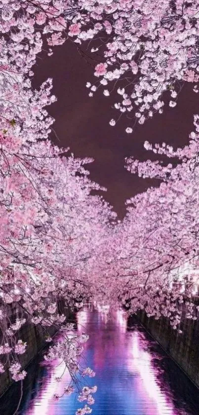 Mobile wallpaper with pink cherry blossom path reflecting a serene river.