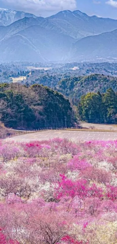 Mobile wallpaper featuring pink blossoms and mountains.