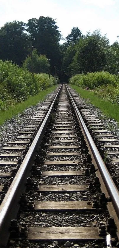 Tranquil railroad track through lush green landscape, ideal for nature lovers.