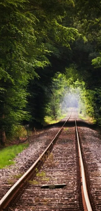 Scenic forest railway track with lush green surroundings.