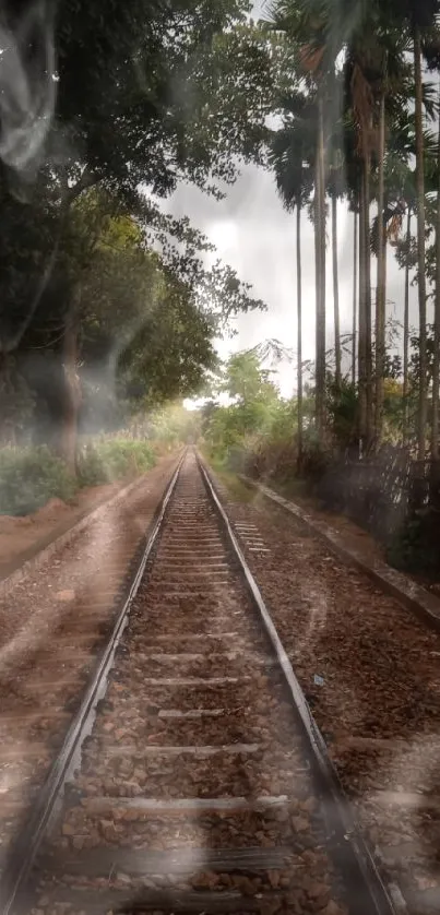 Scenic railway track with lush trees and a tranquil path.