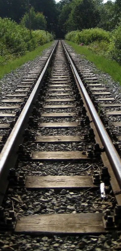 A scenic railway track runs through lush green surroundings under a clear sky.