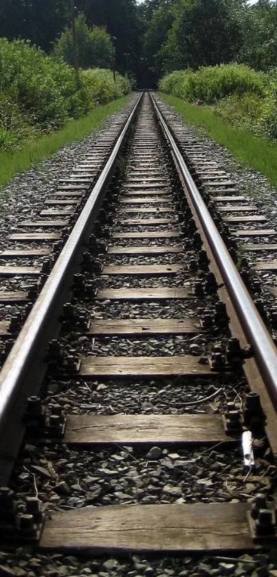 A railway track passing through lush greenery under a bright sky.