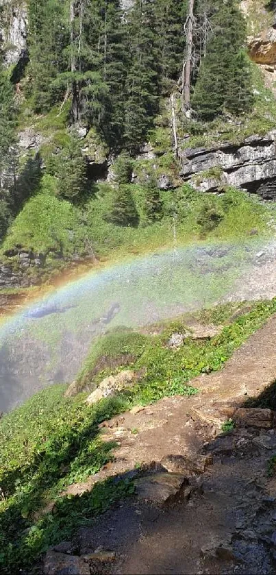 Majestic waterfall with rainbow arching over lush greenery.