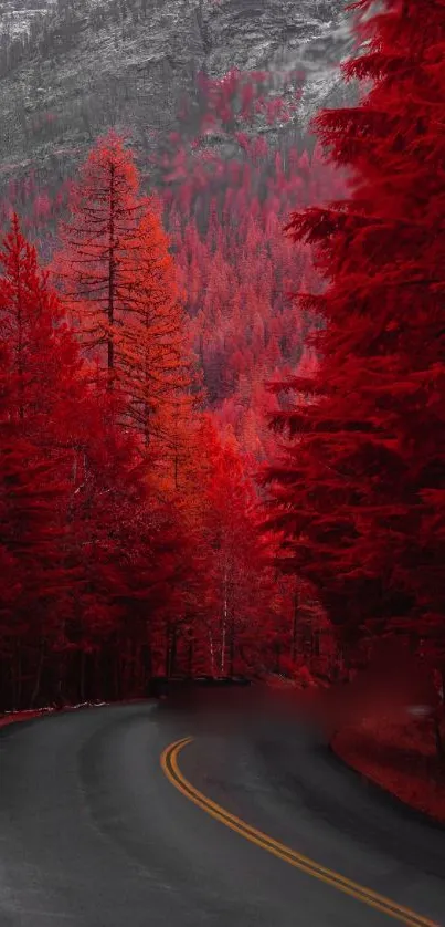 Red forest with winding road wallpaper.