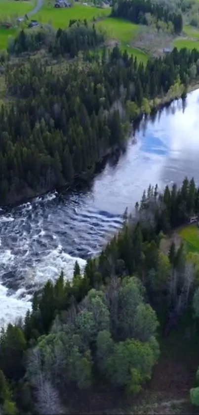 Aerial view of a river flowing through a lush green forest with a red-roofed cabin.