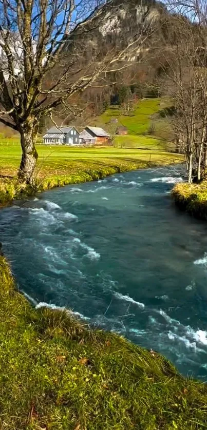 Serene river flowing through lush green landscape in rural setting.