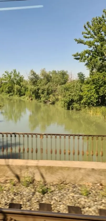 Scenic river with lush green trees and tranquil water.