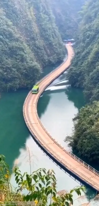 Scenic road beside lush green river in nature.