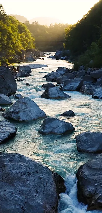 Scenic river at sunset with lush greenery and rocks.