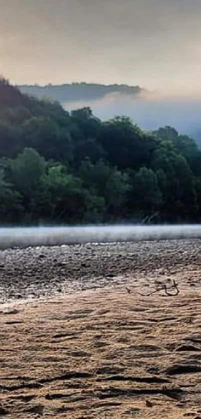 Serene sunrise over lush green riverbank landscape.