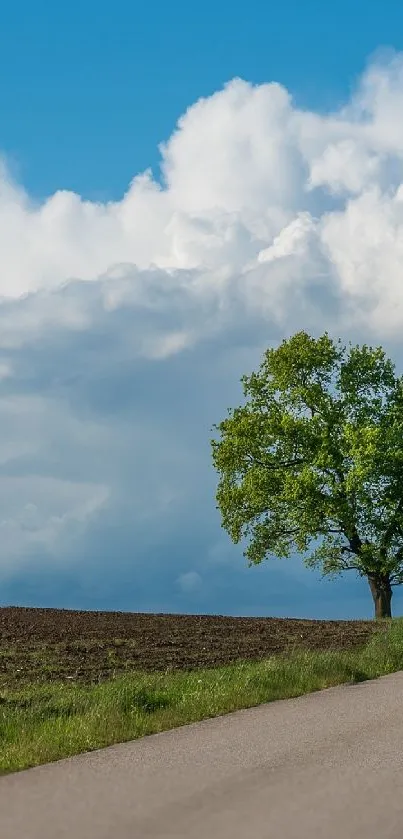 A scenic road with a tree under a bright blue sky with clouds.