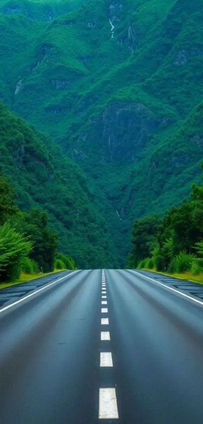 Scenic road through lush green mountains.