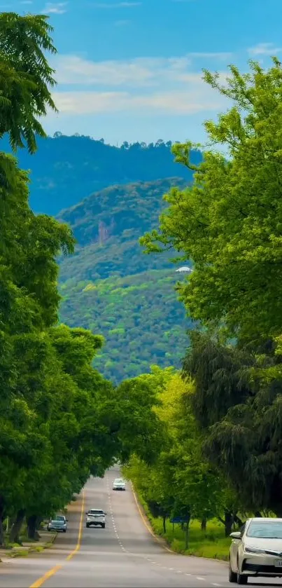 Scenic road winding through lush green forest and mountainous backdrop.