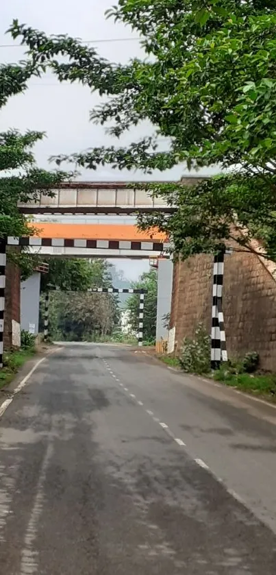 Scenic road passing under a tree-covered bridge.