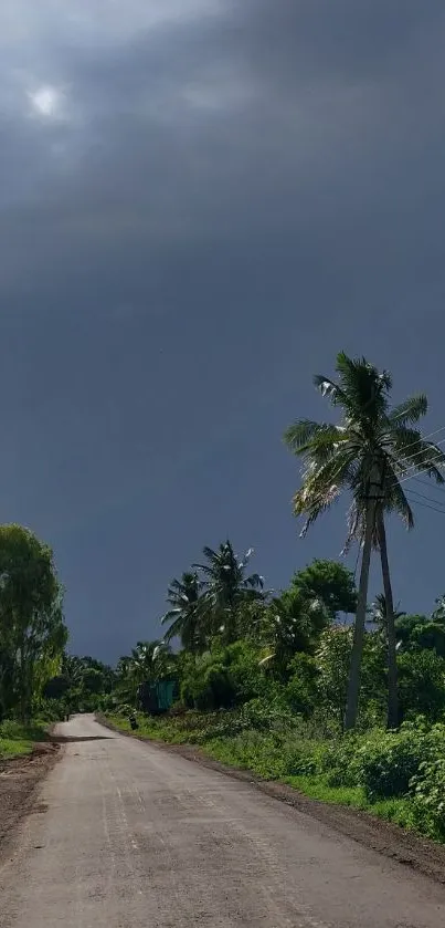 A peaceful countryside road with lush palms and a dramatic grey sky.