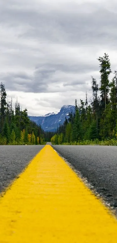 Scenic road with yellow line in forested mountain area.