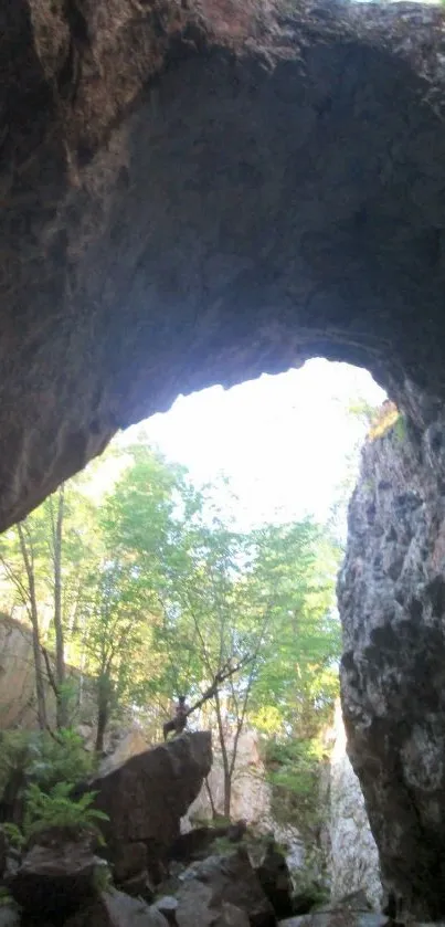 A scenic view from inside a rock cave with sunlight illuminating the entrance.