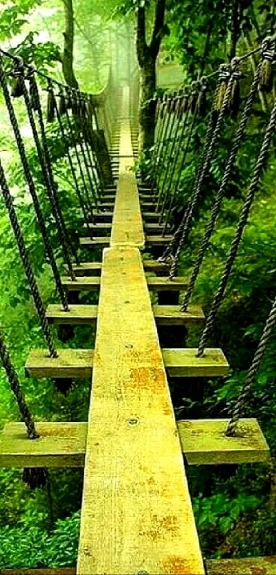 Rope bridge in vibrant green forest setting, perfect for mobile wallpaper.