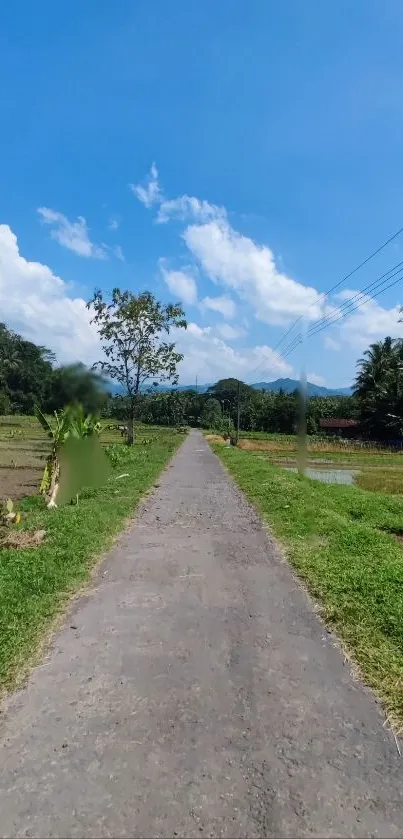 Serene rural path under a clear blue sky.