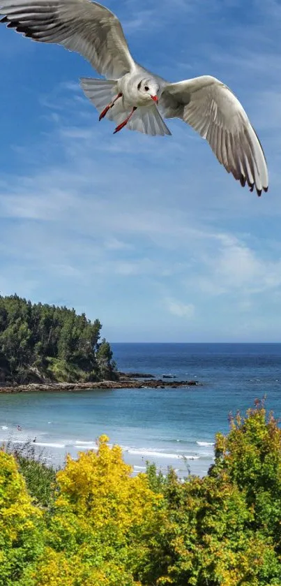 Soaring seagull over a serene coastal landscape with vibrant greenery and clear blue sky.