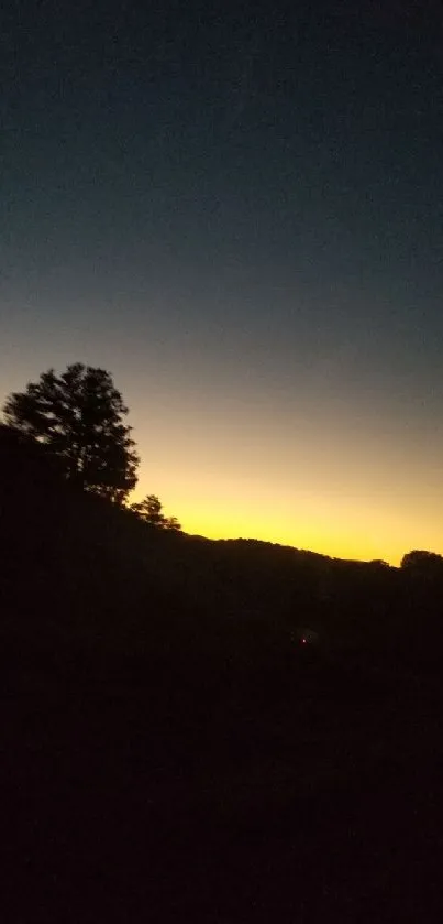 Silhouette of trees against a vibrant sunset on a clear evening sky.