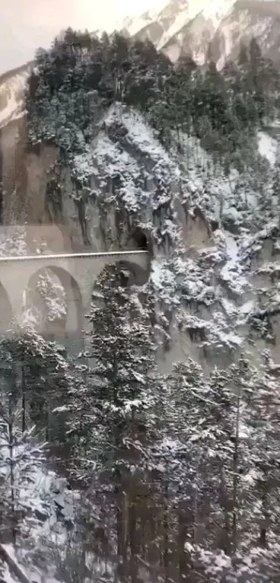 Snowy mountain with stone bridge and forest.