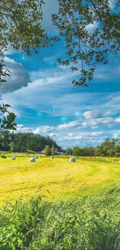 Vibrant green field under a clear blue sky with fluffy clouds and trees.