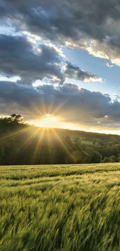 Sunrise over a lush green field with dramatic sky.