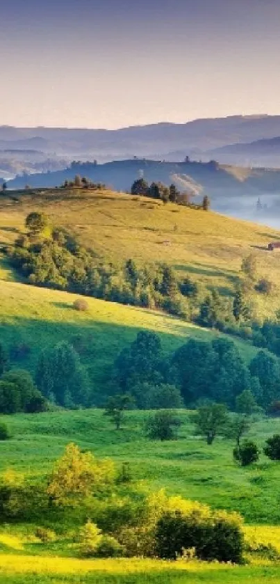 Vibrant green hills at sunrise with soft morning light.