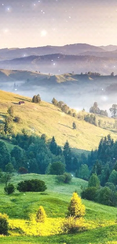 Vibrant green valley at sunrise with misty mountain backdrop, perfect for phone wallpaper.