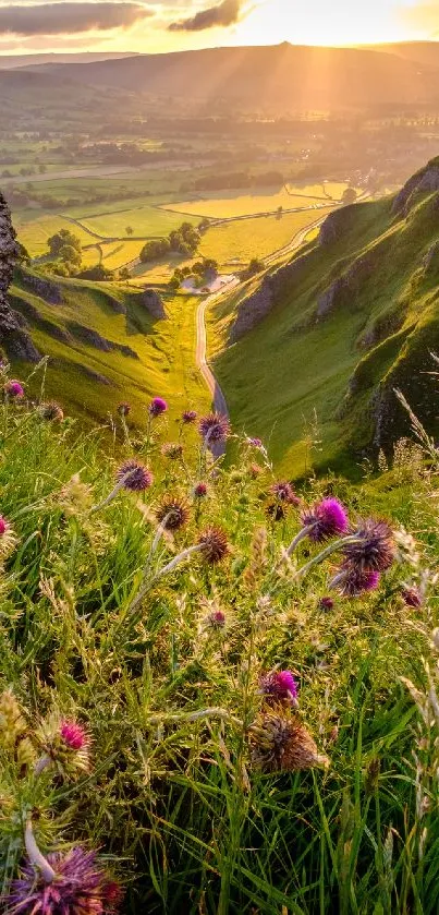 A stunning sunrise over a lush green valley with wildflowers in the foreground.