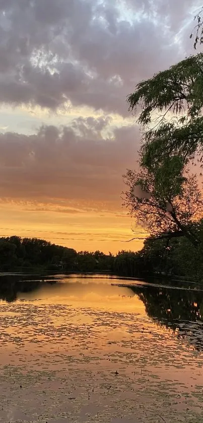 Serene sunset over a tranquil lake surrounded by trees.