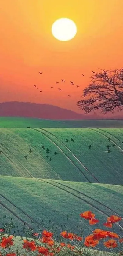 Scenic sunset over green fields with a silhouetted tree.