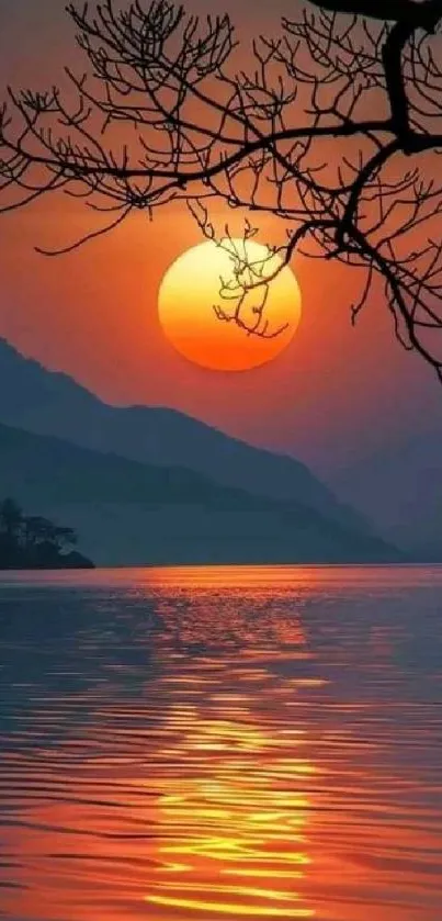 Stunning sunset over a calm lake with silhouetted branches.