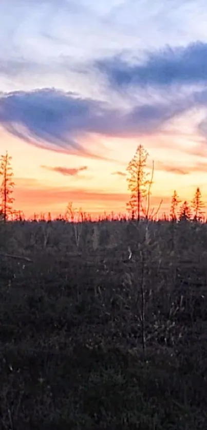 Beautiful sunset over a tranquil wild landscape with a colorful sky.