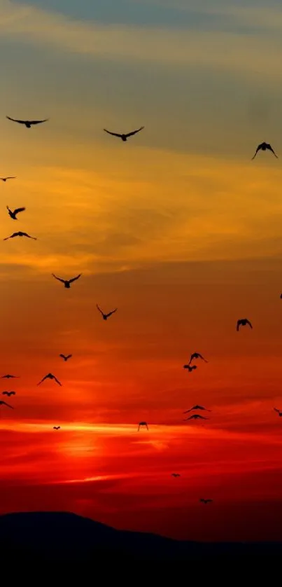 A scenic sunset with birds flying across a colorful sky.