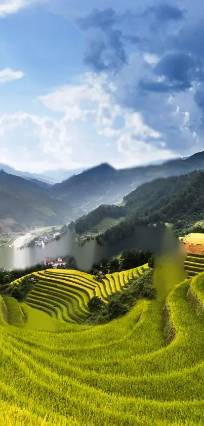 Terraced rice fields with mountain backdrop.