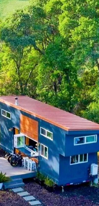 Tiny house amidst lush green forest landscape.