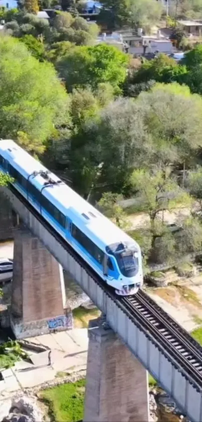 Train on bridge through lush green scenery