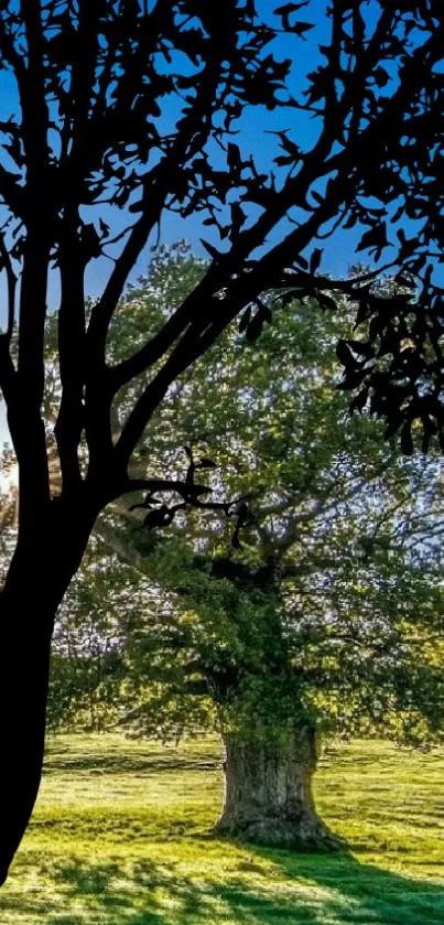 Silhouette of a tree against a vibrant blue sky and green field.