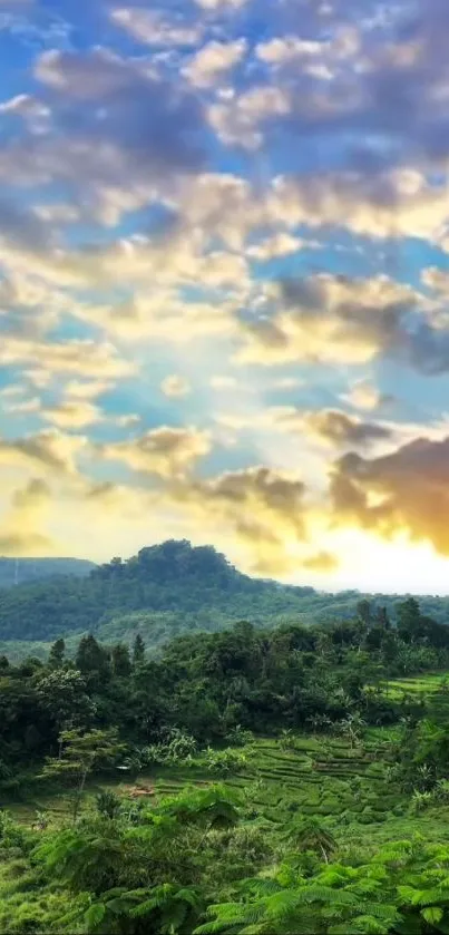 Tropical landscape with vibrant sky and lush greenery.