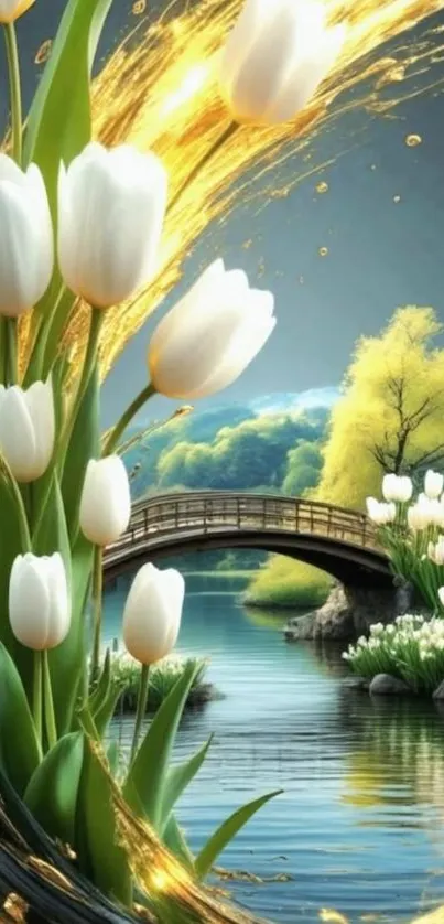 White tulips with bridge over serene pond.