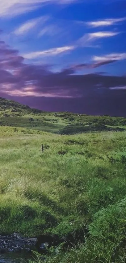 Scenic twilight landscape with lush greenery and dramatic sky.