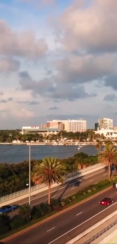 Scenic coastal urban road with palm trees and buildings.