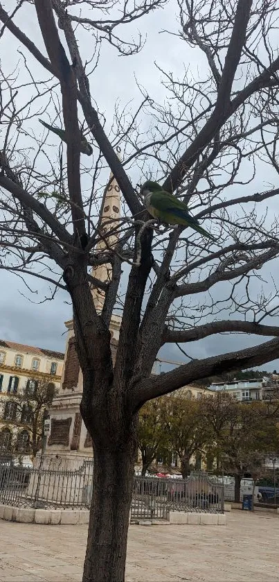 Bare tree with parrot in urban setting, cloudy sky.